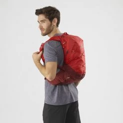 Sacs Hydratation SALOMON XT 15 GOJI BERRY/MADDER BROWN 22 Rouge -Sacs de voyage Soldes Boutique 9 83674 lc1518900 03